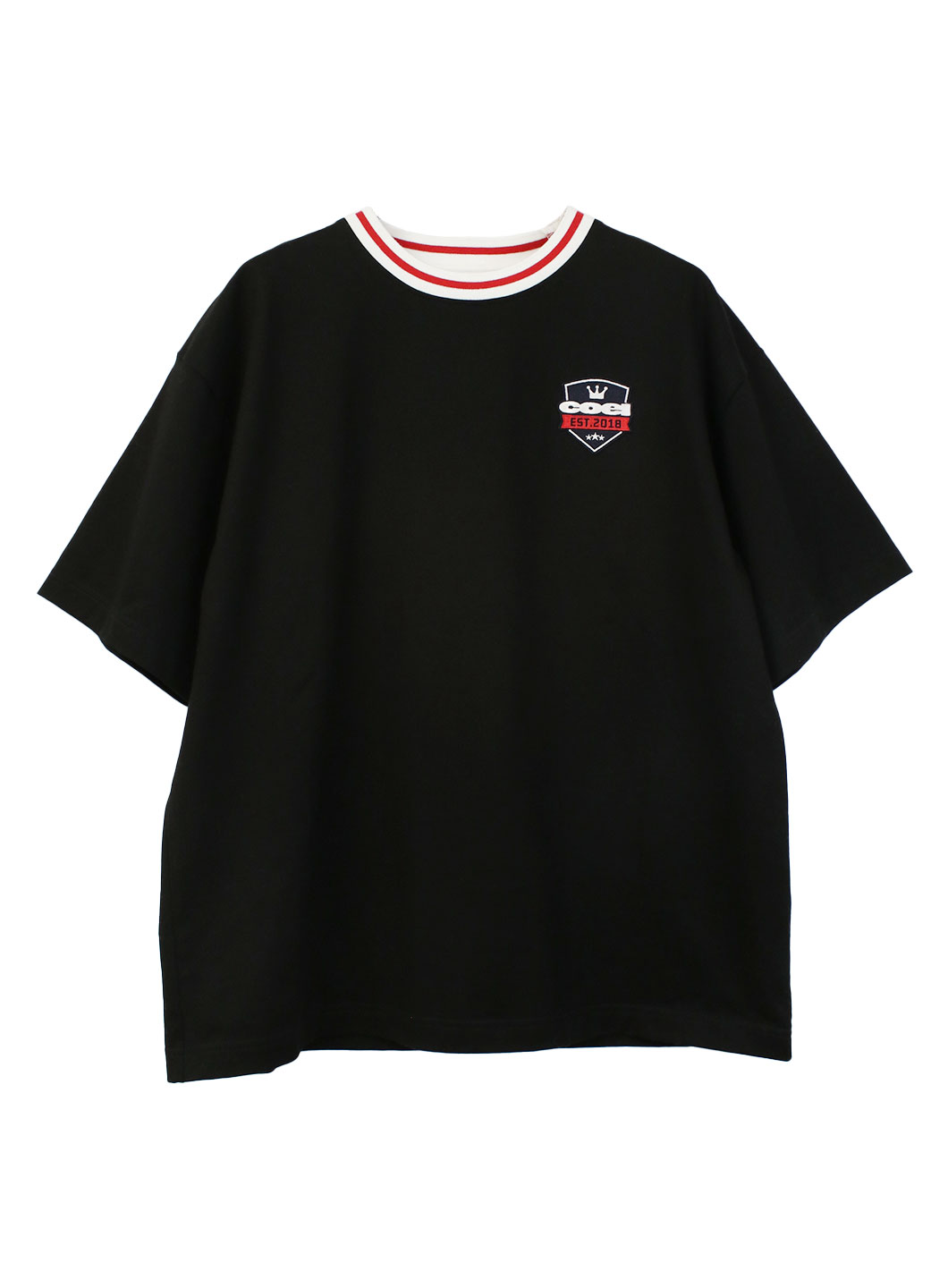 【2/12発売】ライン入りワッペンT